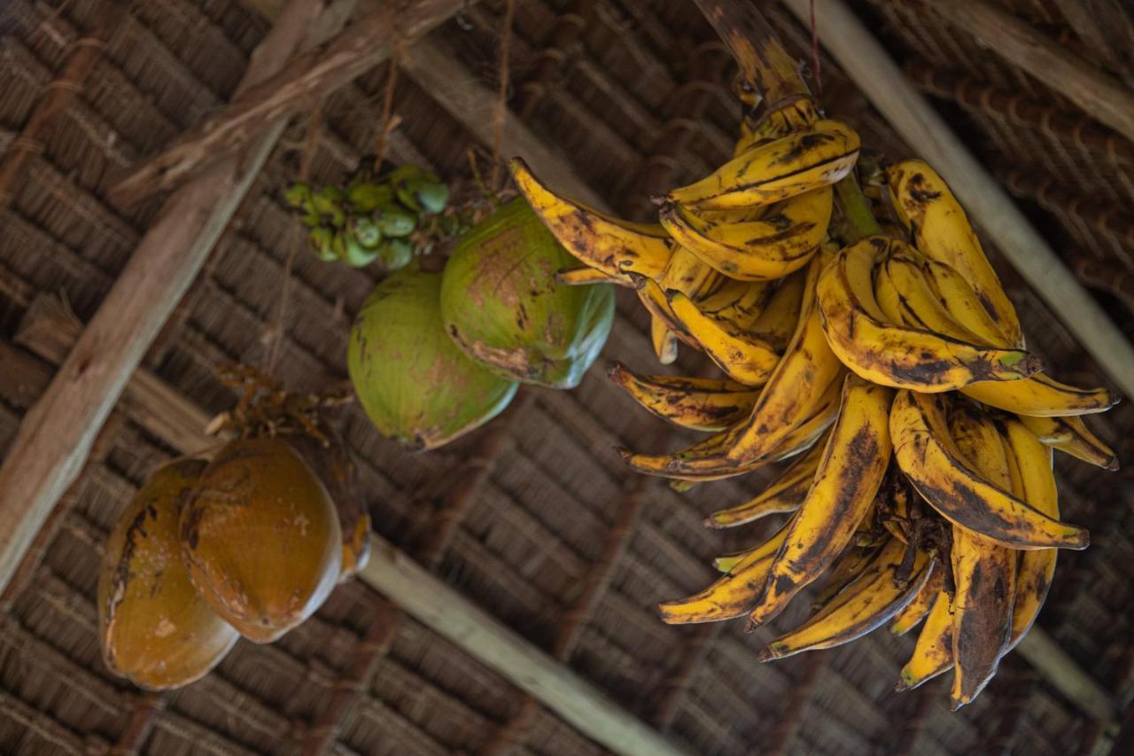 Afriican Village Zanzibar Michamvi Kae Luaran gambar