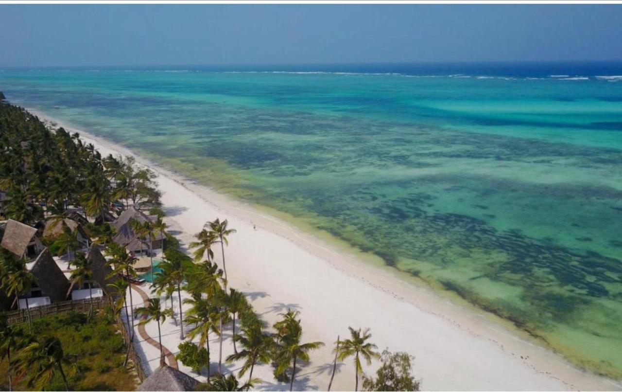 Afriican Village Zanzibar Michamvi Kae Luaran gambar