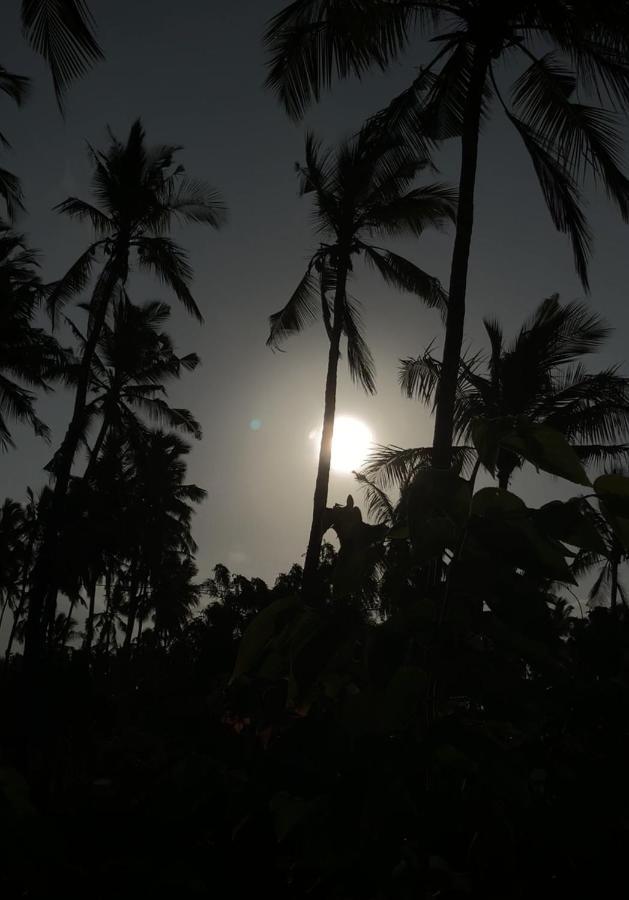 Afriican Village Zanzibar Michamvi Kae Luaran gambar